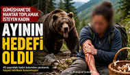 Gümüşhane’de mantar toplamak isteyen kadın ayının hedefi oldu