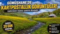 Sadece 20 Gün Sürüyor! Gümüşhane'deki O Vadi Görenleri Kendine Hayran Bırakıyor