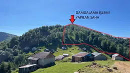 Kürtün Kızılali Yaylası’ndaki orman kesimi iptal edildi