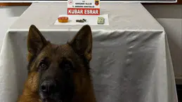 Trabzon'dan Gümüşhane'ye uyuşturucu sevkiyatına Jandarma darbesi