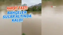 Dere Islahı Bahçeleri Vurdu: Harşit Çayı Taştı, Vatandaş Mağdur Oldu