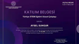 Gümüşhane’den 11 Eğitimci Türkiye STEM Çalıştayı’nda şehrimizi temsil etti
