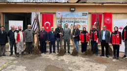 Gümüşhane’de %50 Hibeli Ceviz Fidanları Teslim Edildi!