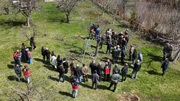 Gümüşhane’de meyve üreticilerine profesyonel budama eğitimi verildi