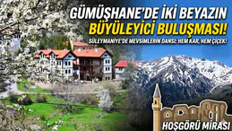 Gümüşhane’nin "Eski Şehri" Süleymaniye baharın renklerine teslim oldu