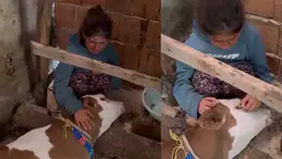 Kazıkbeli Yaylası'nda Gözyaşları Sel Oldu: Minik Nehir'in Acı Vedası Yürekleri Dağladı