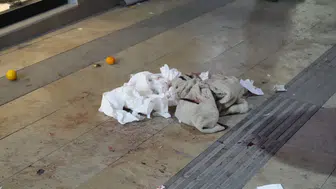 Gümüşhane’de boşanma aşamasındaki eşi tarafından bıçaklanan kadın hastaneye kaldırıldı