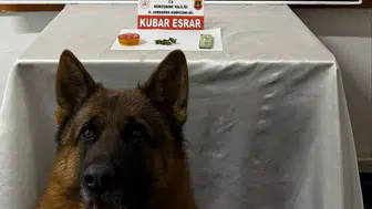 Trabzon'dan Gümüşhane'ye uyuşturucu sevkiyatına Jandarma darbesi