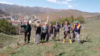Gurbetten Sıla’ya Yeşil Köprü: Kocayokuş Köyü’nde Binlerce Fidan Toprakla Buluştu!