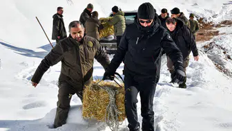 Gümüşhane’de aç kalan yaban hayvanları için seferberlik