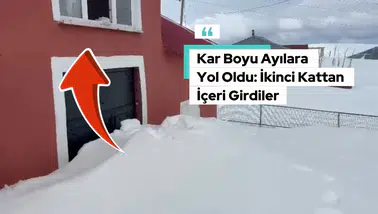 Gümüşhane’de akılalmaz olay: Ayılar bu kez kapıdan değil 2.katın penceresinden girdi!