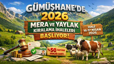 Gümüşhane'de 2026 yılı mera ve yaylak kiralama ihaleleri 16-17 Nisan'da