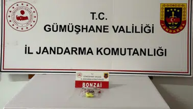 Gümüşhane Uyuşturucu Operasyonu: Jandarma Ekipleri Zehir Tacirlerine Geçit Vermedi