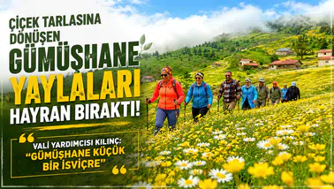 Çiçek Tarlasına Dönüşen Gümüşhane Yaylaları Hayran Bıraktı