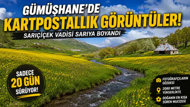 Sadece 20 Gün Sürüyor! Gümüşhane'deki O Vadi Görenleri Kendine Hayran Bırakıyor