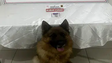 Gümüşhane'de Jandarmadan Uyuşturucu Operasyonu: Torul'da Bir Şüpheli Yakalandı