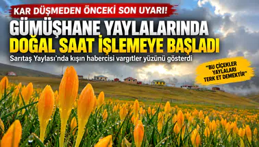 Gümüşhane'nin yükseklerinde kışın habercisi vargitler yüzünü gösterdi