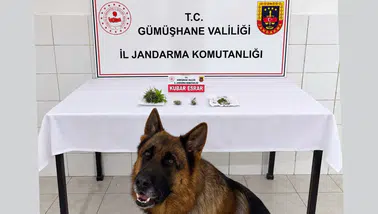 Söğütlü Beldesinde Uyuşturucu Operasyonu: Esrar Ele Geçirildi