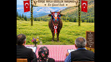 Ballıca Köyü Sakinleri Geleneksel Yayla Göçünü Kutlamalarla Gerçekleştirdi