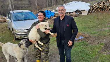 Çiftçinin Kurtuluş Reçetesi: Modern Kooperatifçilik