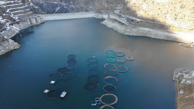 Denizi olmayan Gümüşhane'de alabalık üretimi 2 bin tona ulaştı