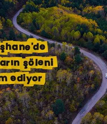 Gümüşhane'nin Alpleri aratmayan sonbahar güzelliği