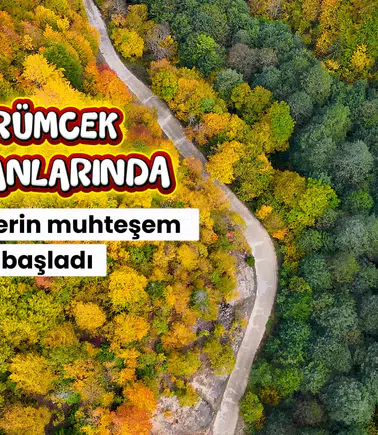 Örümcek Ormanları'nda Sonbahar Büyüsü: Görenleri Hayran Bırakıyor!