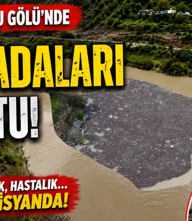 Torul Baraj Gölü’nde korkutan görüntü: Göl yüzeyinde çöp adaları oluştu!