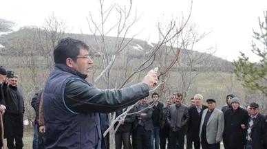 Kelkit’te çiftçilere uygulamalı ceviz semineri  verildi