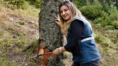 Zigana’nın ormanları ondan soruluyor