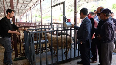Hem besici hem vatandaş umduğunu bulamadı