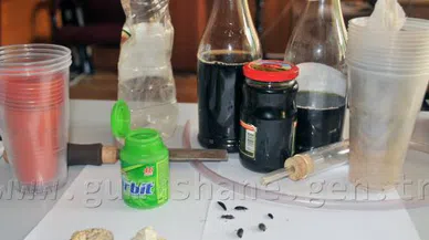 Gümüşhane'de Böcek Kaçakçılığı