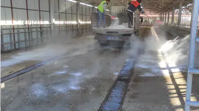 Kelkit Hayvan Pazarı 1 Kasım’da yeniden açılıyor