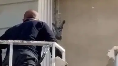 Gümüşhane’de İtfaiye çaresiz güvercin için seferber oldu