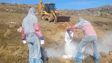Kürtün’de 6 köye hayvan giriş çıkışı yasaklandı