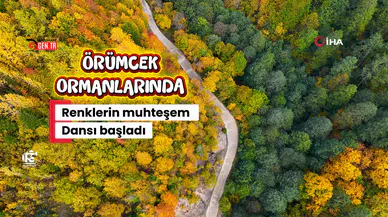 Örümcek Ormanları'nda Sonbahar Büyüsü: Görenleri Hayran Bırakıyor!