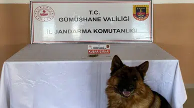 Jandarma'dan Şiran'da uyuşturucu operasyonu