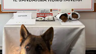 Jandarma affetmedi: Gümüşhane'de zehir tacirlerine suçüstü