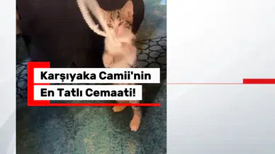 Camiye Giren Davetsiz Misafir Cemaati Mest Etti! O Anlar Saniye Saniye Kaydedildi