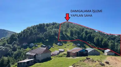 Bursa’daki Gümüşhanelilerden tarihi uyarı: 'Kızılali Yaylası’ndaki 500 yıllık miras yok olmasın'