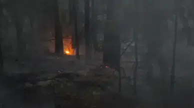 Gümüşhane’de orman yangını büyümeden kontrol altına alındı