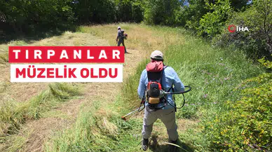 Gümüşhane´de ot biçme geleneği değişti, tırpanlar müzeye kalktı
