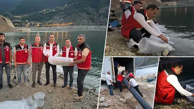 Gümüşhane’de Baraj ve Göletlere 725 Bin Sazan Yavrusu Bırakıldı