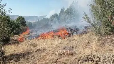 Gümüşhane’de çobanın yaktığı ateş yangına sebep oldu