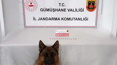Kelkit’te jandarmadan uyuşturucu operasyonu: 13 sentetik ecza ele geçirildi