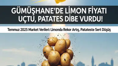 Gümüşhane’de Limon Fiyatı Uçtu, Patates Dibe Vurdu!