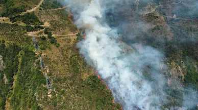 Gümüşhane’nin Kürtün ilçesindeki yangınla ilgili 1 kişi gözaltına alındı