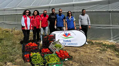 Gümüşhane’de seralarda Gönüllü Hasat yapıldı