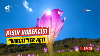 Gümüşhane’de yaylacıların doğal uyarıcısı ‘Vargit’ler yüzünü gösterdi