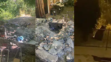 Gümüşhane’de mahalle sakinleri ayı korkusuyla yaşıyor